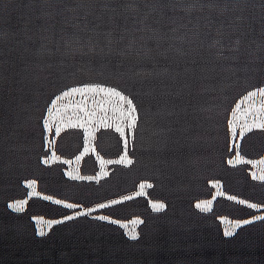 DII® Skulls Embroidered Placemats, 4ct.